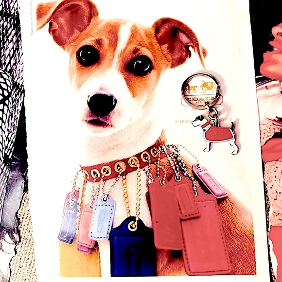 Coach 7321 JRT Jack Russell Terrier Dog Enamel Keychain - Picture 1 of 12